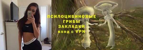круглые Алзамай