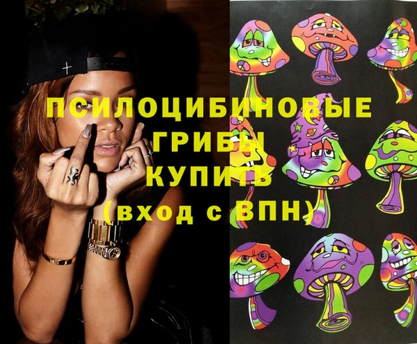 круглые Алзамай