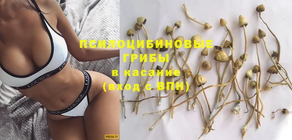 круглые Алзамай