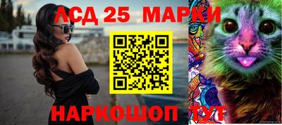 гидропоника Кингисепп