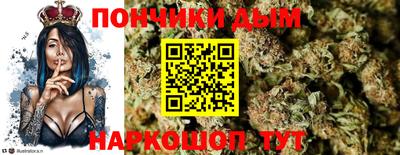 гидропоника Кингисепп