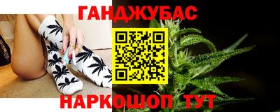 гидропоника Кингисепп