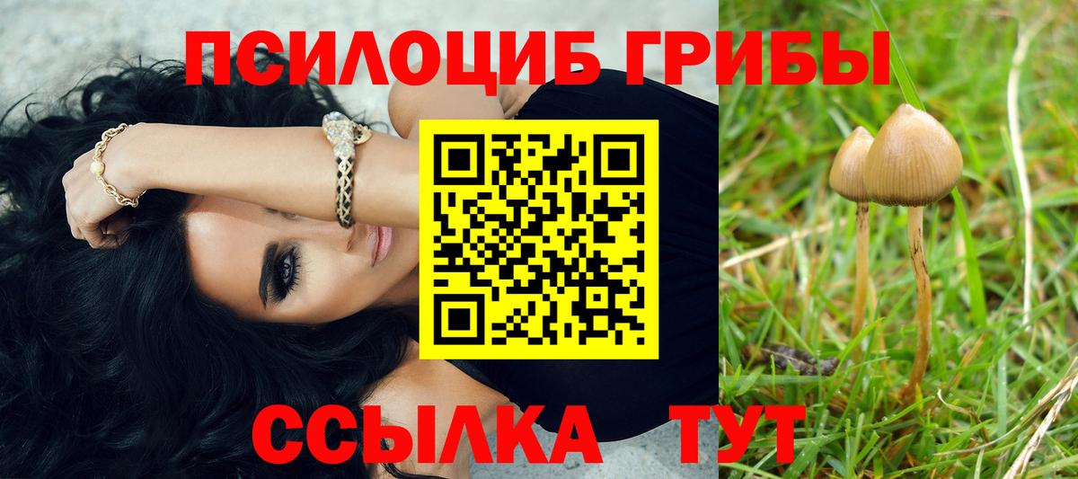 Псилоцибиновые грибы Cubensis  Вход с VPN  Волхов 