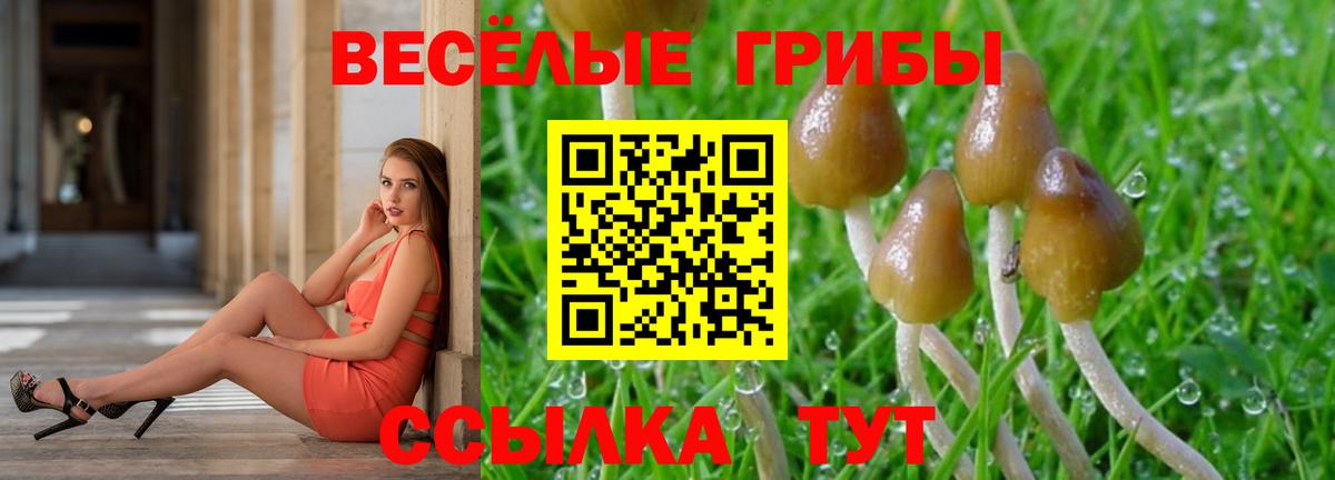 Псилоцибиновые грибы MAGIC MUSHROOMS Волхов