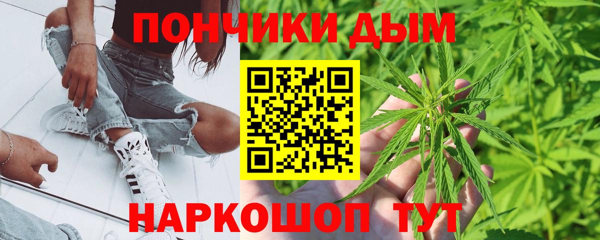 Каннабис сатива Волхов